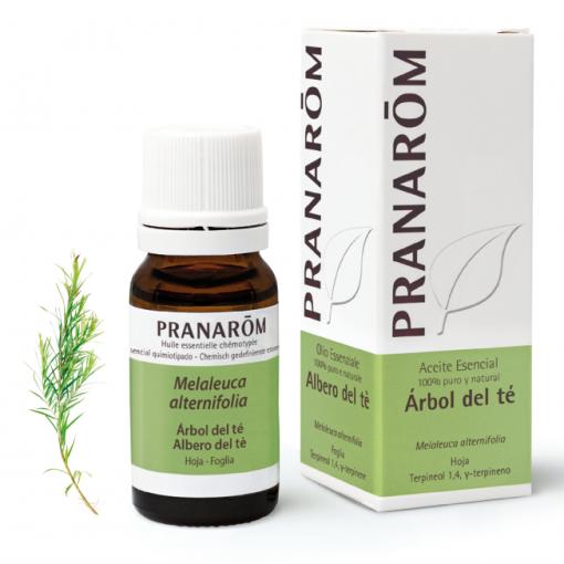 esencias de plantas ACEITE ARBOL TE 10 ML