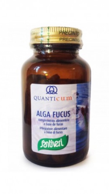 control de peso ALGA FUCUS 113 COMPRIMIDOS