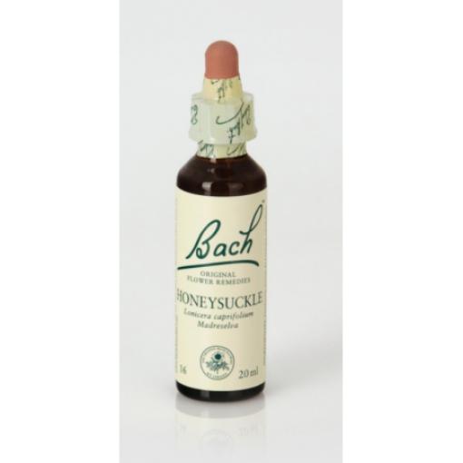 flores bach BACH 16 HONEYSUCKLE (MADRESELVA) 20ML