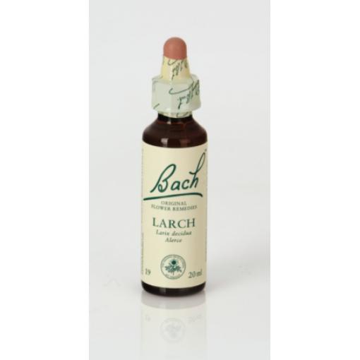 flores bach BACH 19 LARCH (ALERCE) 20ml