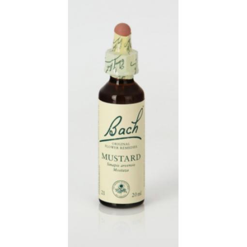 flores bach BACH 21 MUSTARD (MOSTAZA) 20ml