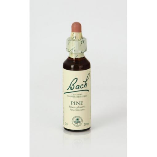 flores bach BACH 24 PINE (PINO SILVESTRE) 20ml