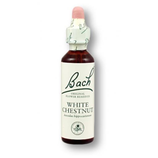 flores bach BACH 35 WHITE CHESNUT (CASTAÑO BLANCO) 20ML