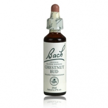 flores bach BACH 7 CHESTNUT BUD (BROTE DE CASTAÑO) 20ML