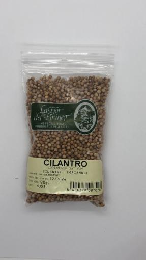 plantas en bolsa CILANTRO 70 grs