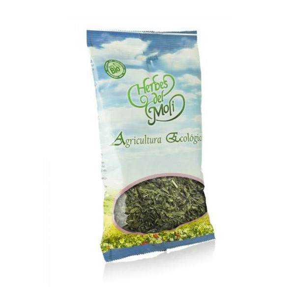 plantas en bolsa EQUINACEA RAIZ 60GR ECO