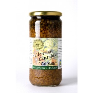 legumbres y verduras desecadas LENTEJAS CONSERVA BIO 700 GR