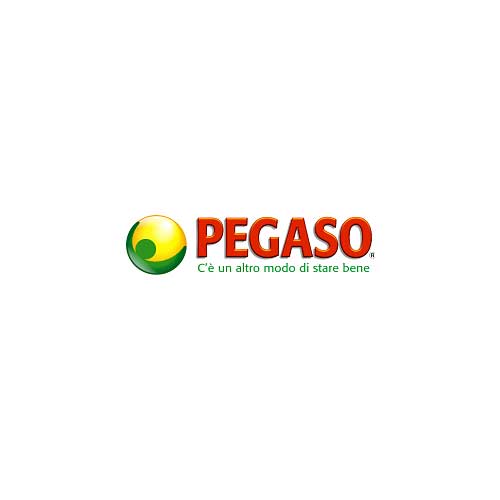 Marca PEGASO