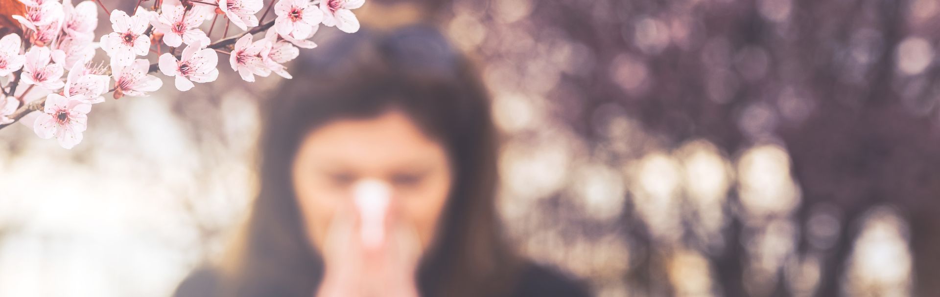 Portada Primavera