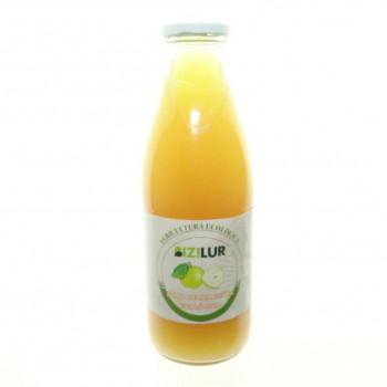 bebidas ZUMO DE MANZANA BIO 1L