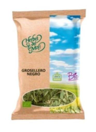 plantas en bolsa GROSELLERO NEGRO 40 GR HDM