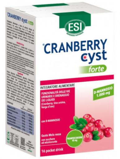 sistema genitourinario CRANBERRY CYST FORTE POCKET DRINK 16 SOBRES